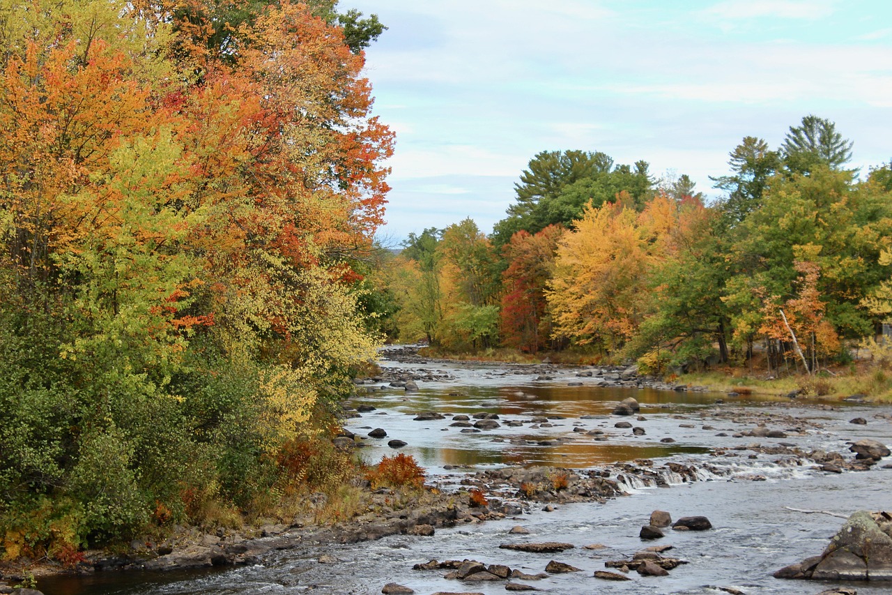 Fall, new england, new hampshire — Wire-O Bound Books vs. Spiral Bound: Understanding the Differences